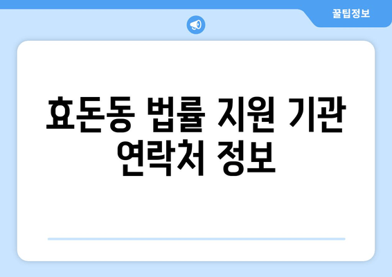 효돈동 법률 지원 기관 연락처 정보