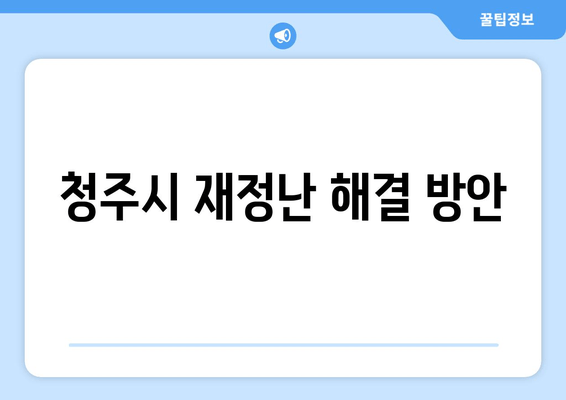 청주시 재정난 해결 방안