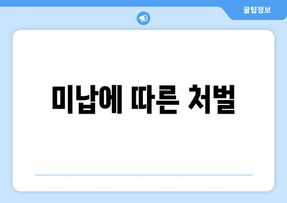 미납에 따른 처벌