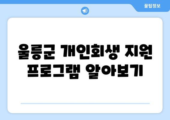 울릉군 개인회생 지원 프로그램 알아보기