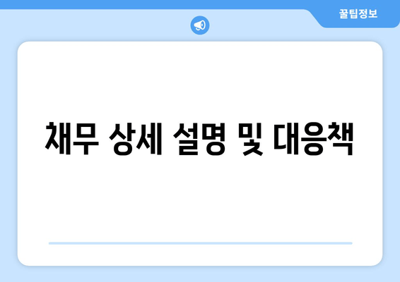 채무 상세 설명 및 대응책