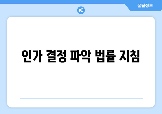 인가 결정 파악 법률 지침