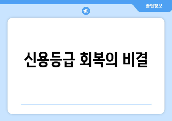 신용등급 회복의 비결