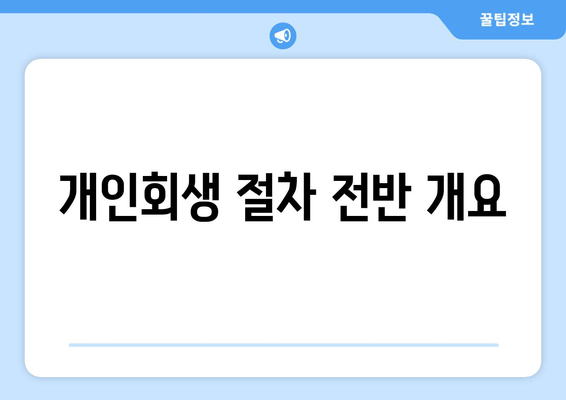 개인회생 절차 전반 개요