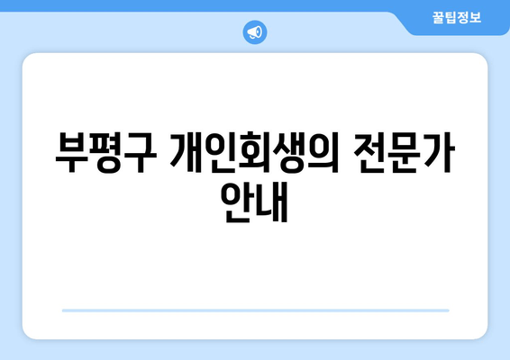 부평구 개인회생의 전문가 안내