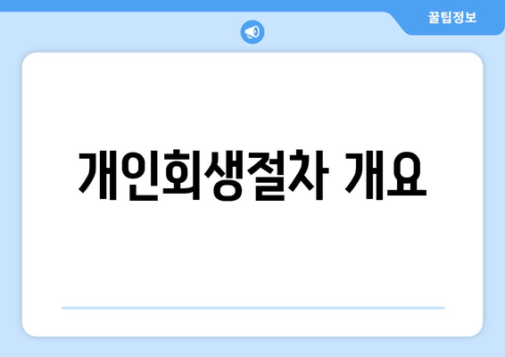 개인회생절차 개요