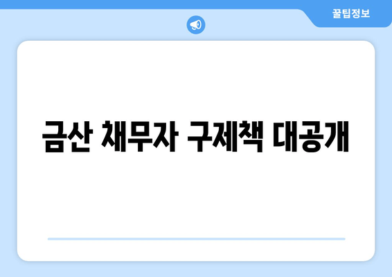 금산 채무자 구제책 대공개