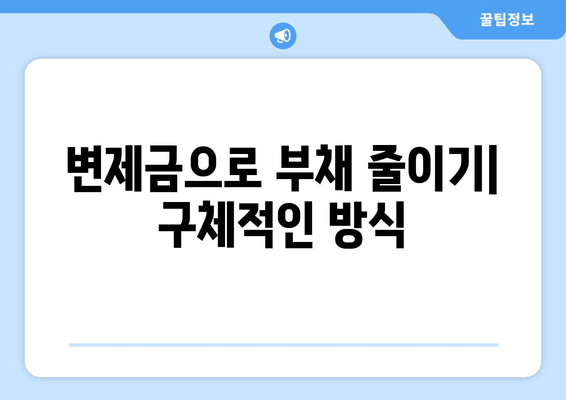 변제금으로 부채 줄이기| 구체적인 방식