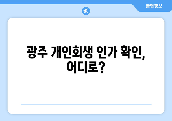 광주 개인회생 인가 확인, 어디로?