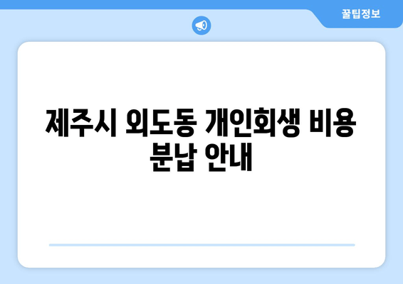 제주시 외도동 개인회생 비용 분납 안내