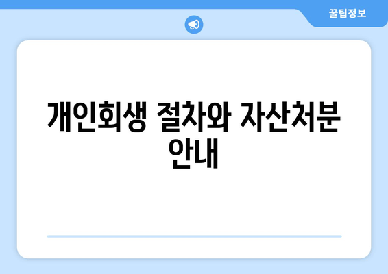 개인회생 절차와 자산처분 안내