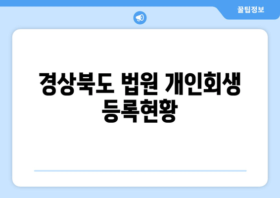 경상북도 법원 개인회생 등록현황