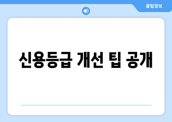 신용등급 개선 팁 공개