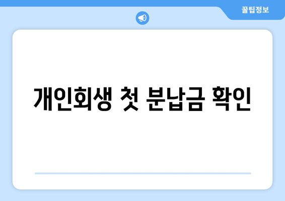 개인회생 첫 분납금 확인