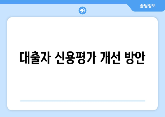 대출자 신용평가 개선 방안