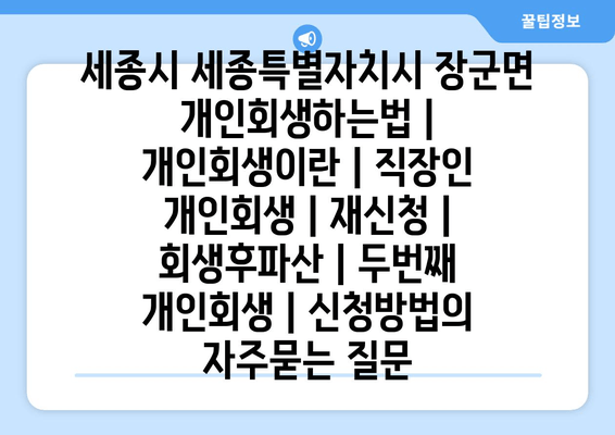 세종시 세종특별자치시 장군면 개인회생하는법 | 개인회생이란 | 직장인 개인회생 | 재신청 | 회생후파산 | 두번째 개인회생 | 신청방법