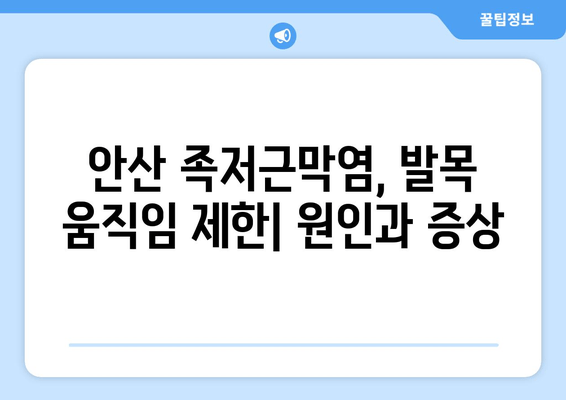 안산 족저근막염, 발목 위로 젖히기 힘들다면? | 마사지로 통증 완화 & 운동법