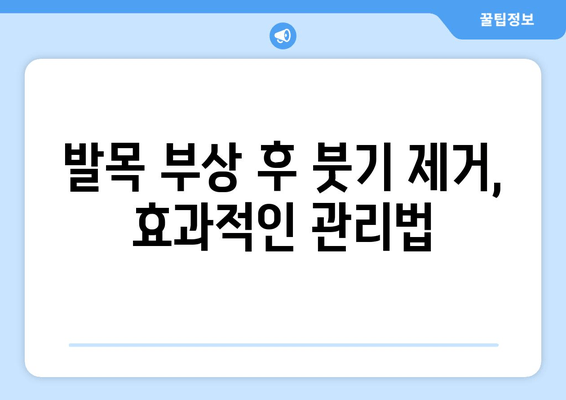 발목 접질림 후 통증과 붓기, 효과적인 관리 방법 | 발목 부상, 통증 완화, 회복 가이드