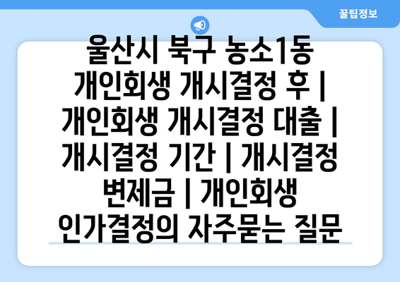 울산시 북구 농소1동 개인회생 개시결정 후 | 개인회생 개시결정 대출 | 개시결정 기간 | 개시결정 변제금 | 개인회생 인가결정