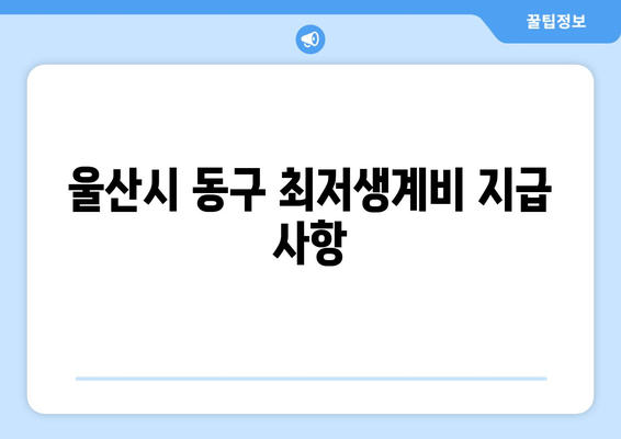 울산시 동구 최저생계비 지급 사항