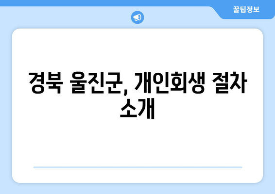 경북 울진군, 개인회생 절차 소개