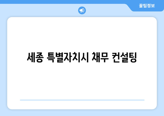 세종 특별자치시 채무 컨설팅