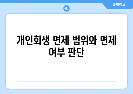 개인회생 면제 범위와 면제 여부 판단