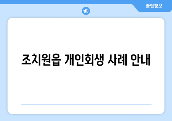 조치원읍 개인회생 사례 안내