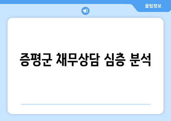 증평군 채무상담 심층 분석