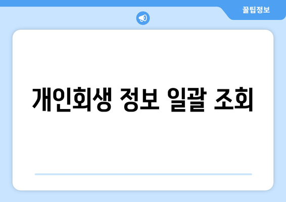 개인회생 정보 일괄 조회