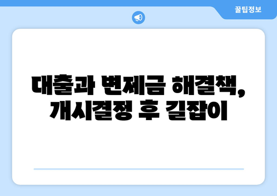 대출과 변제금 해결책, 개시결정 후 길잡이