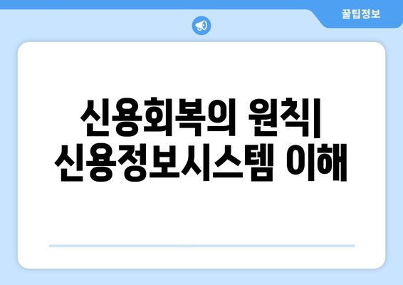 신용회복의 원칙| 신용정보시스템 이해