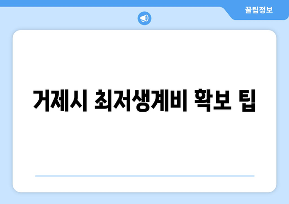 거제시 최저생계비 확보 팁