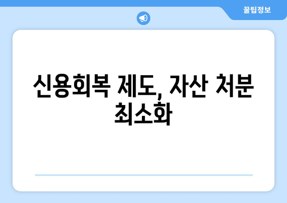 신용회복 제도, 자산 처분 최소화