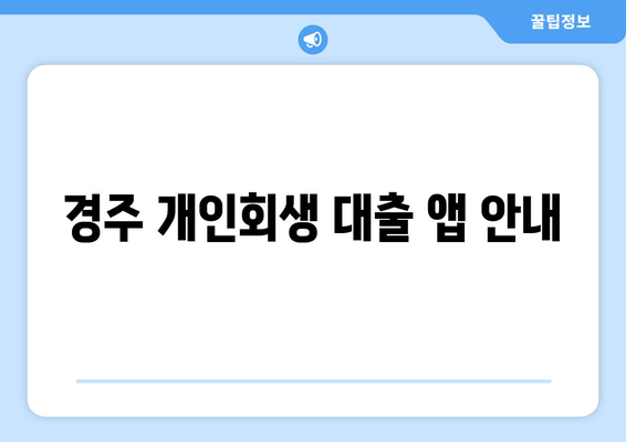 경주 개인회생 대출 앱 안내