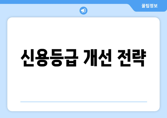 신용등급 개선 전략