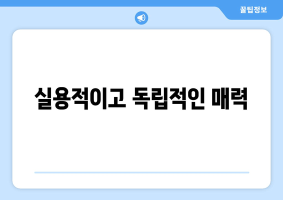 실용적이고 독립적인 매력