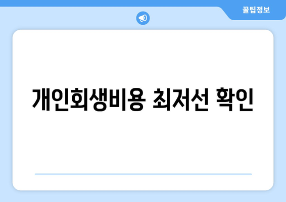 개인회생비용 최저선 확인