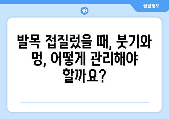 발목 접질렀을 때, 붓기 & 멍 완벽 관리| 찜질, 파스, 효과적인 방법 총정리 | 발목 부상, 응급처치, 염좌, 통증 완화