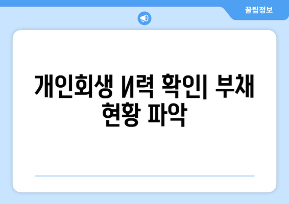 개인회생 И력 확인| 부채 현황 파악