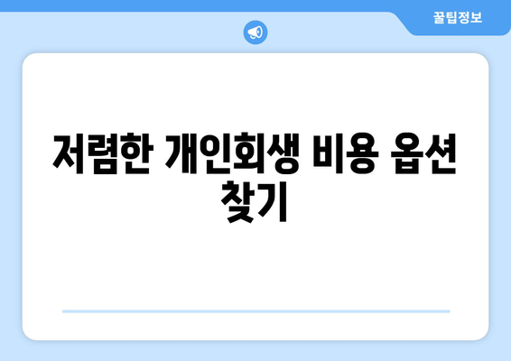 저렴한 개인회생 비용 옵션 찾기