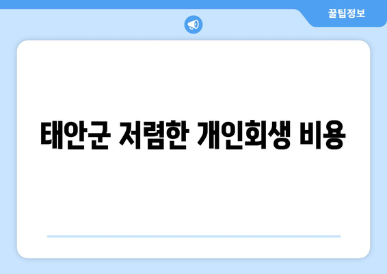 태안군 저렴한 개인회생 비용