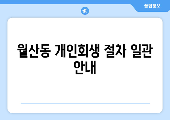 월산동 개인회생 절차 일관 안내