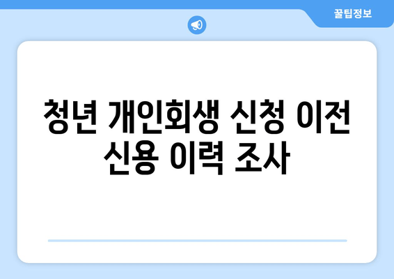 청년 개인회생 신청 이전 신용 이력 조사