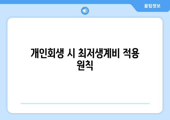 개인회생 시 최저생계비 적용 원칙