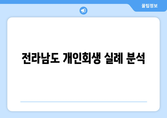 전라남도 개인회생 실례 분석