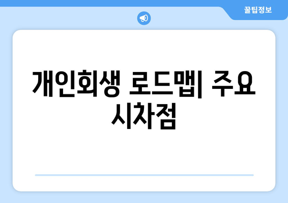 개인회생 로드맵| 주요 시차점