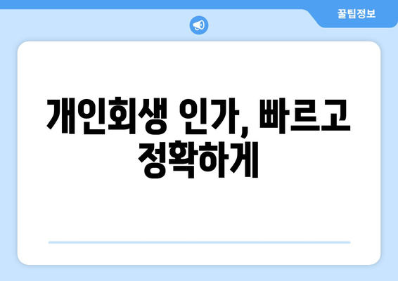 개인회생 인가, 빠르고 정확하게