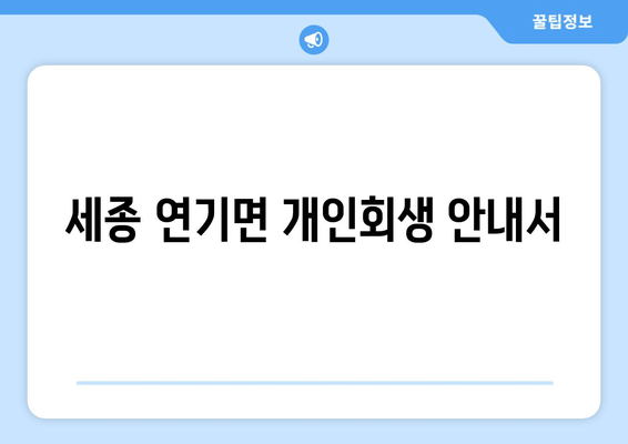 세종 연기면 개인회생 안내서