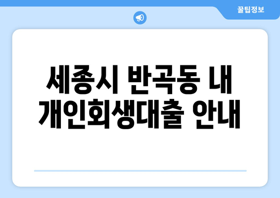 세종시 반곡동 내 개인회생대출 안내